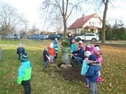 Výsadba u MŠ 2015 - sponzorováno firmou PAJR s.r.o.Vlkava